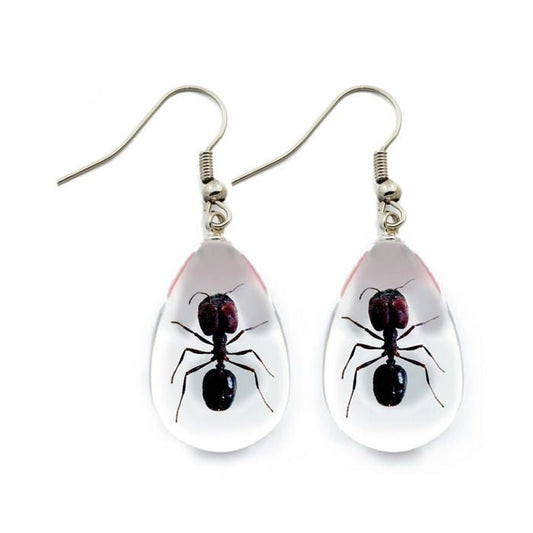 Ant Lucite Earrings - Loved To Death