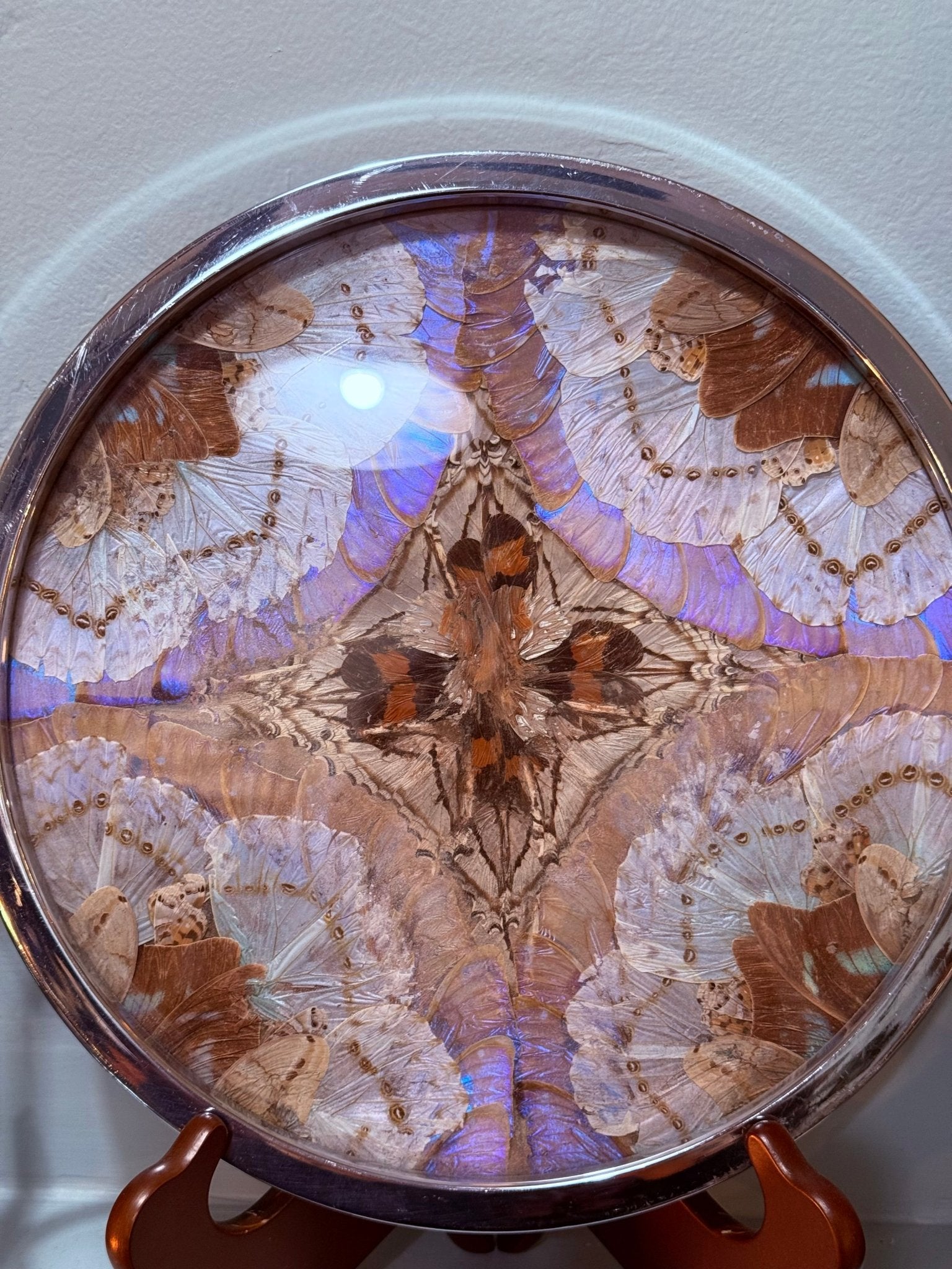 Antique 1950’s Butterfly Wing Art Chrome Tray - Loved To Death