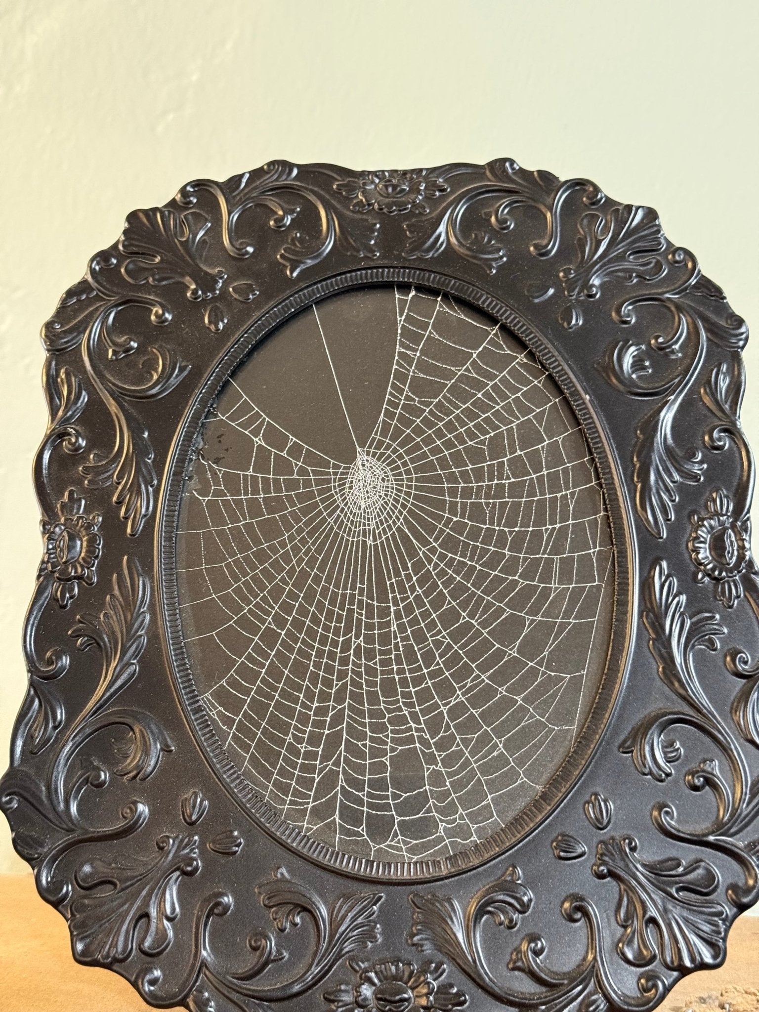 Black Ornate Framed Genuine Spiderweb - Loved To Death