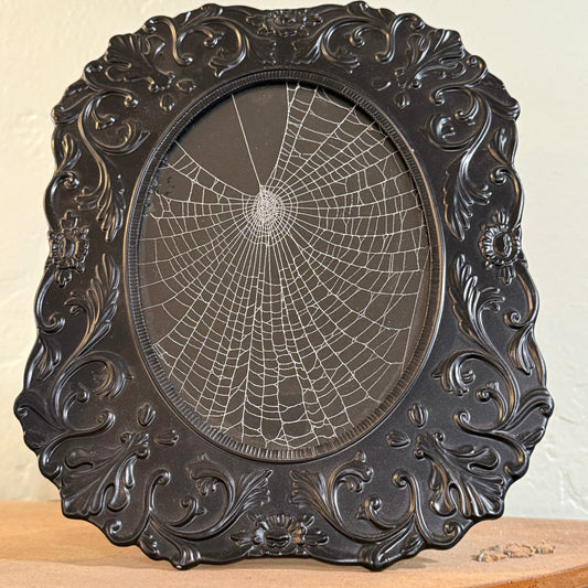 Black Ornate Framed Genuine Spiderweb - Loved To Death