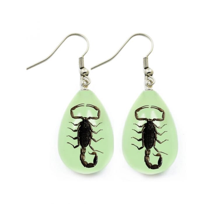 Black Scorpion Glow in Dark Lucite Earrings - Loved To Death