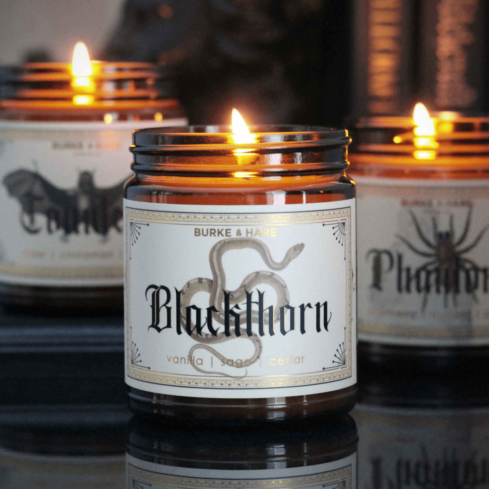 Blackthorn - Vanilla - Witchy - Gothic Scented Candles - Loved To Death