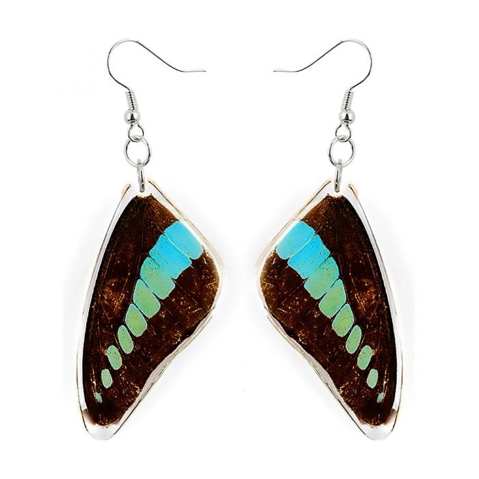 Blue Bottle Butterfly Wing Lucite Earrings - Loved To Death