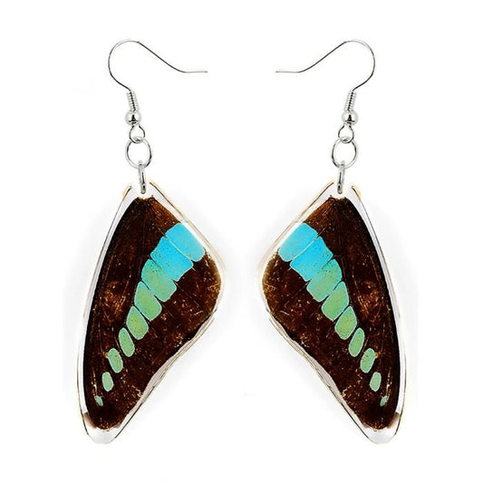 Blue Bottle Butterfly Wing Lucite Earrings - Loved To Death