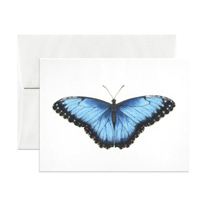 Blue Morpho Greeting Card - Loved To Death