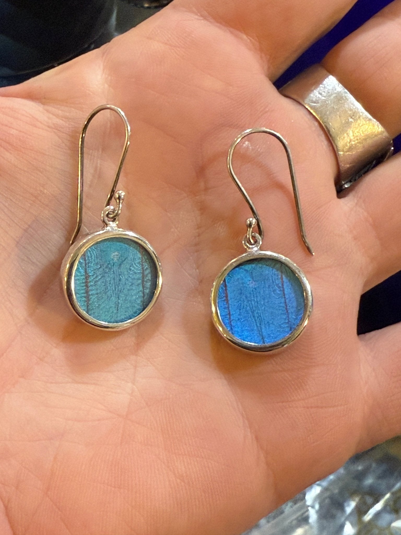 Blue Morpho Wing Round Sterling Earrings - Loved To Death