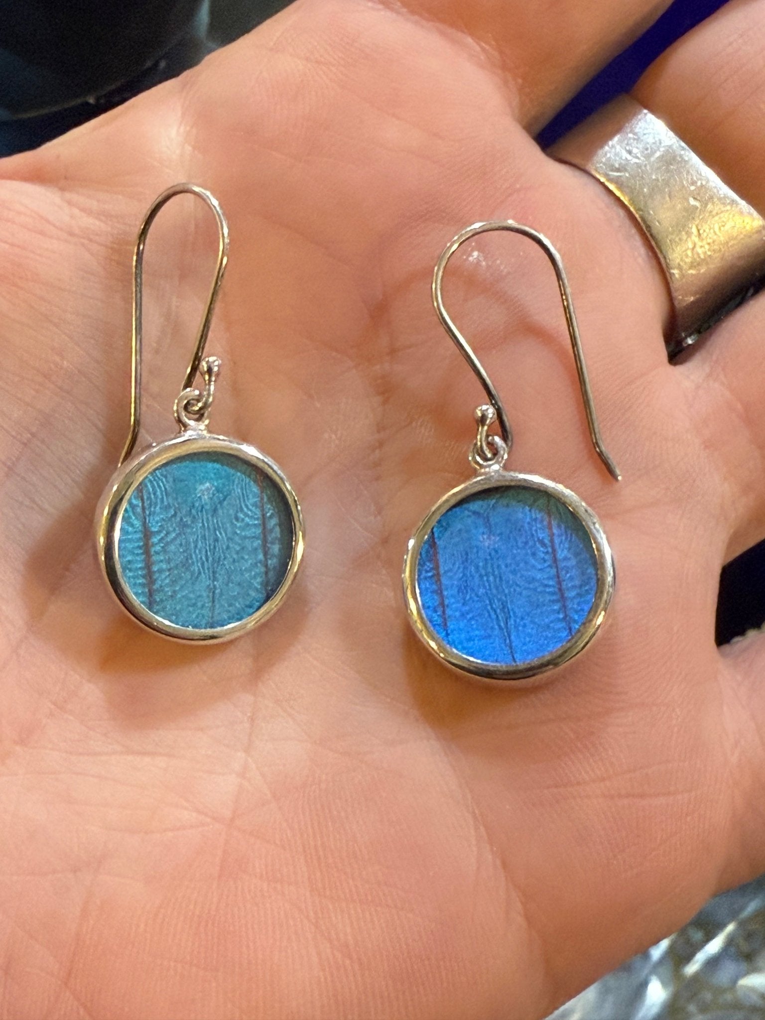 Blue Morpho Wing Round Sterling Earrings - Loved To Death