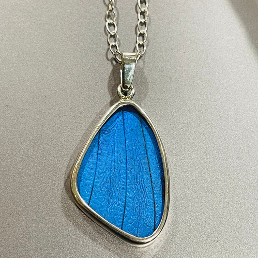 Blue Morpho Wing Sterling Necklace Medium - Loved To Death