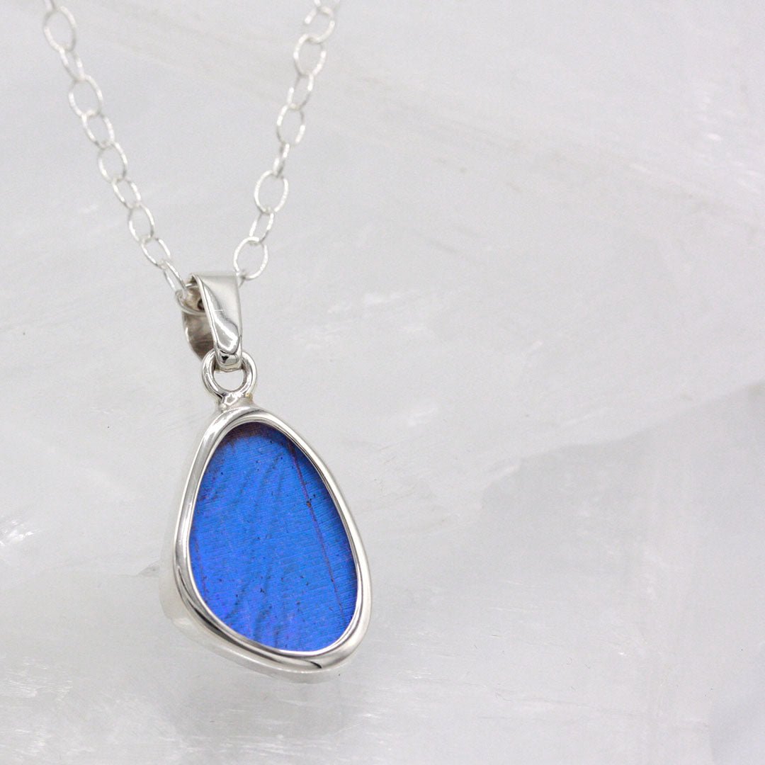 Blue Morpho Wing Sterling Necklace Small - Loved To Death