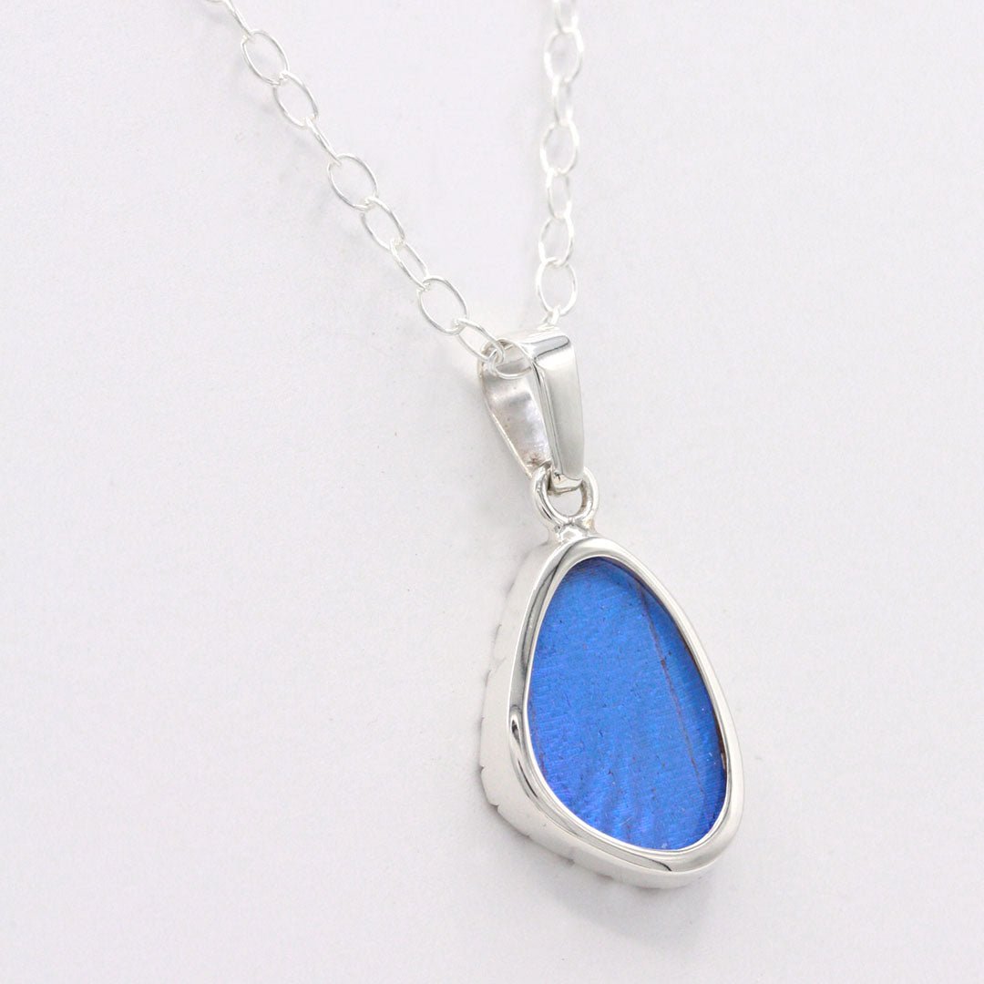 Blue Morpho Wing Sterling Necklace Small - Loved To Death