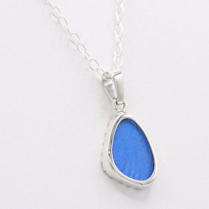 Blue Morpho Wing Sterling Necklace Small - Loved To Death