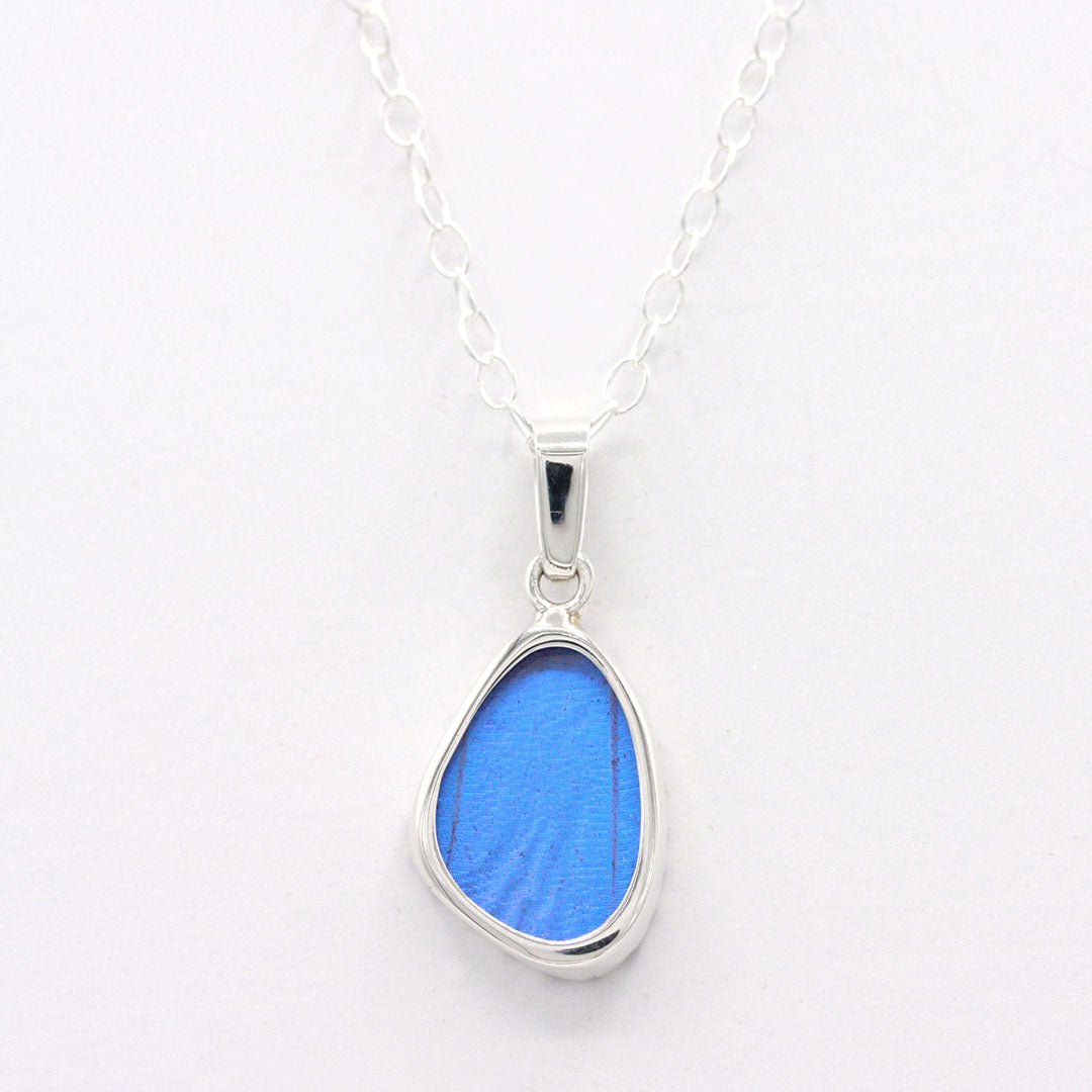 Blue Morpho Wing Sterling Necklace Small - Loved To Death