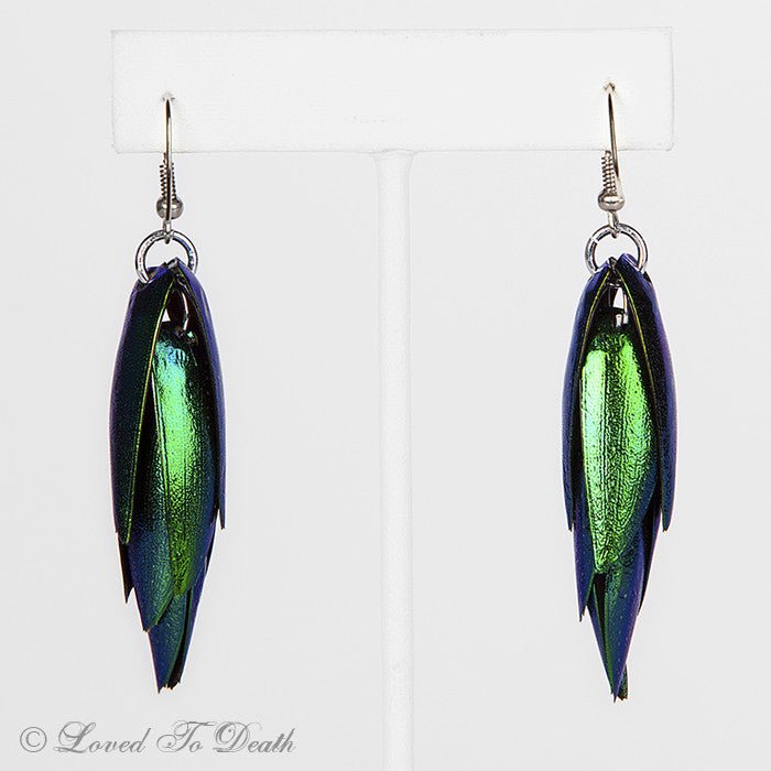 Genuine Beetle Elytra Earrings - Loved To Death