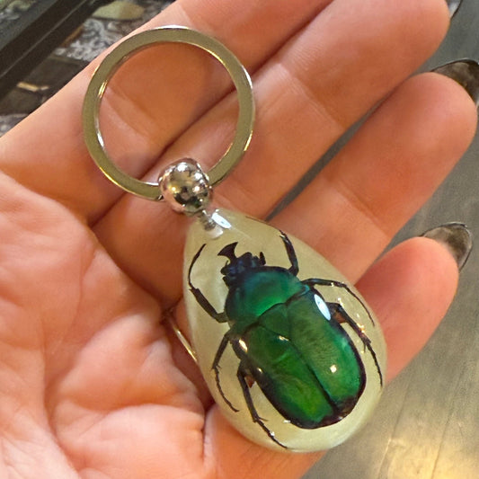 Green Beetle Glow in the Dark Drop Lucite Keychain - Loved To Death