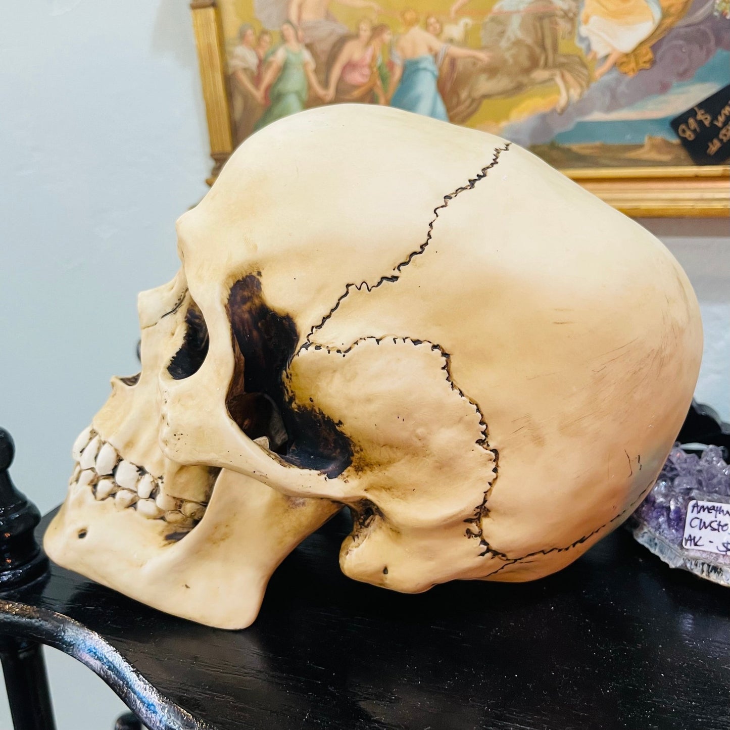 Human Full Skull Replica - Loved To Death