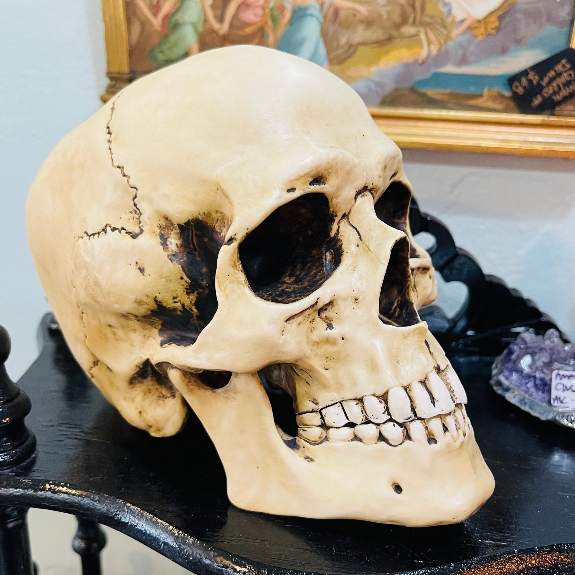 Human Full Skull Replica - Loved To Death