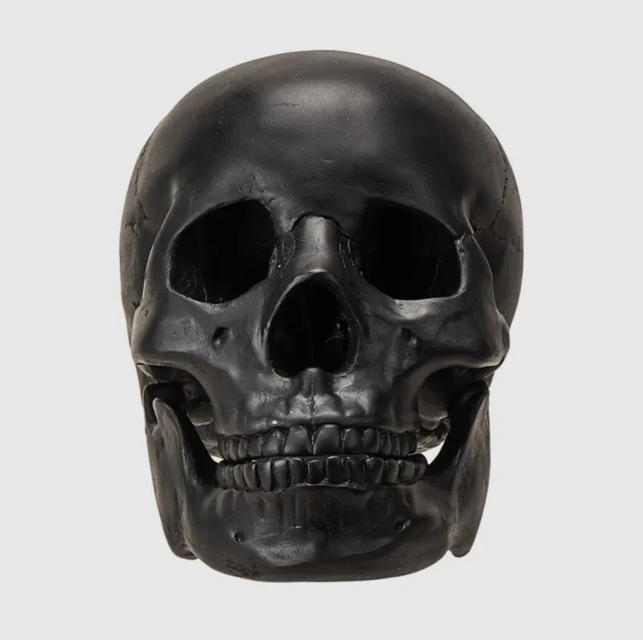 Human Skull Replica Matte Black - Loved To Death