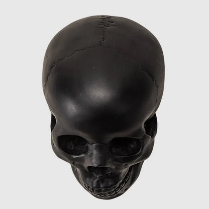 Human Skull Replica Matte Black - Loved To Death