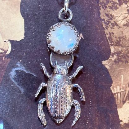 LTD Sterling Beetle Moonstone Necklace - Loved To Death