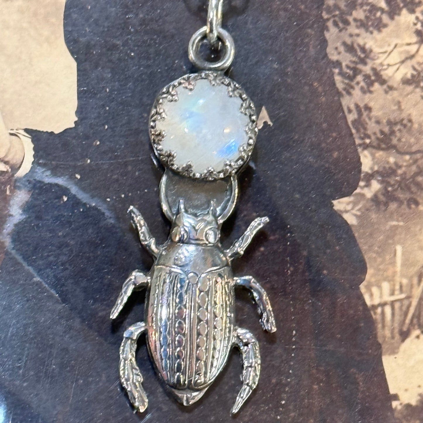 LTD Sterling Beetle Moonstone Necklace - Loved To Death