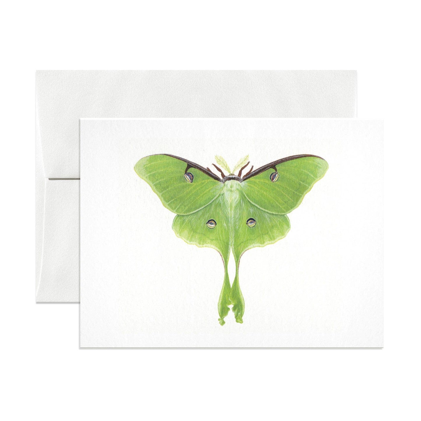 Luna Moth Greeting Card - Loved To Death