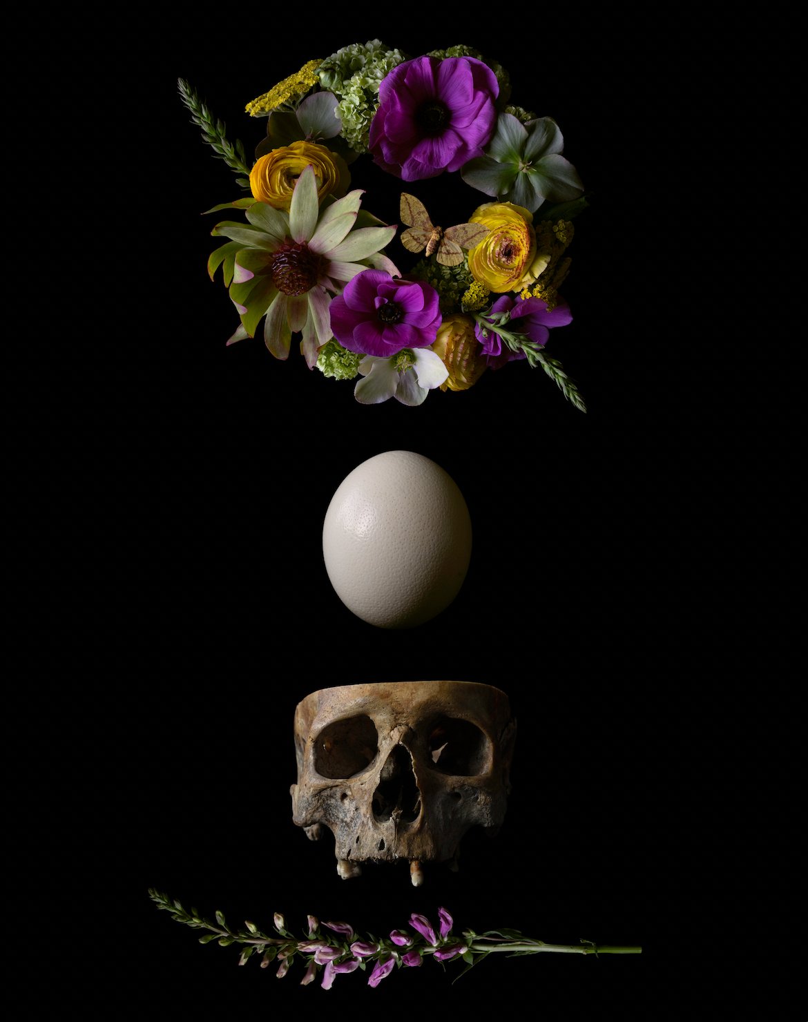 { Midsommar } Veneration of Light Limited Print - Loved To Death