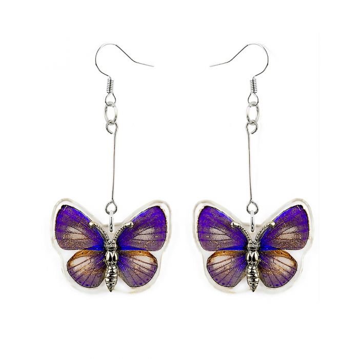 Pale Blue Mini Butterfly Earrings - Loved To Death