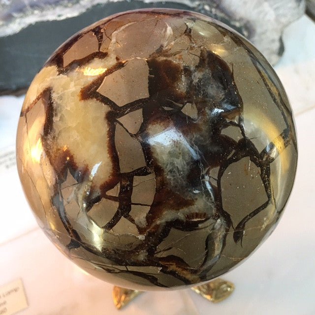 Septarian Nodule Large 6” Polished Sphere - Loved To Death