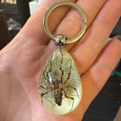 Spider in Web Glow Lucite Keychain - Loved To Death