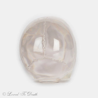 Translucent Skull - Loved To Death