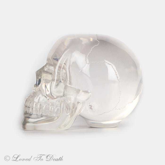 Translucent Skull - Loved To Death