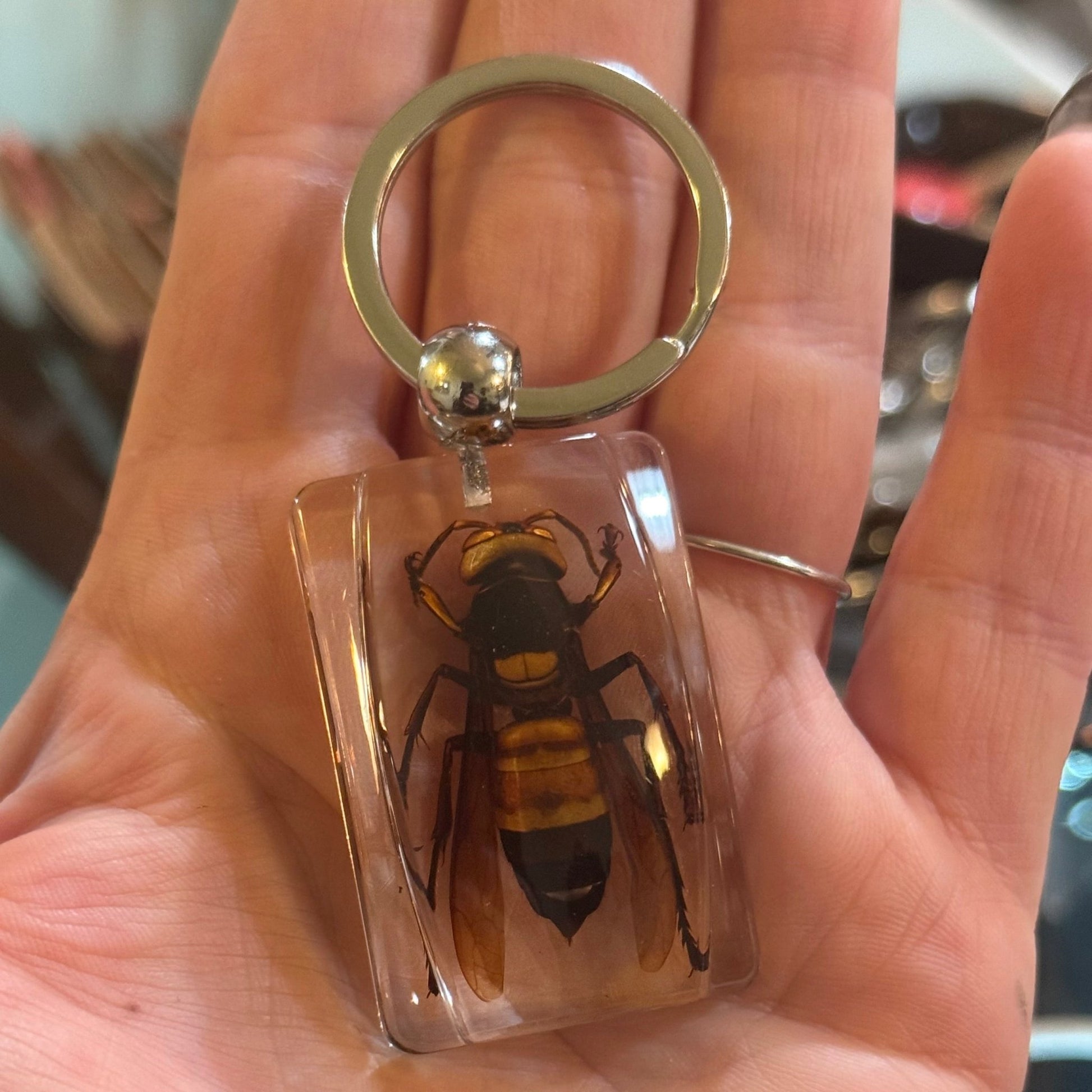 Wasp Lucite Keychain - Loved To Death